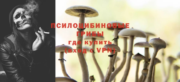 кокс Дмитров