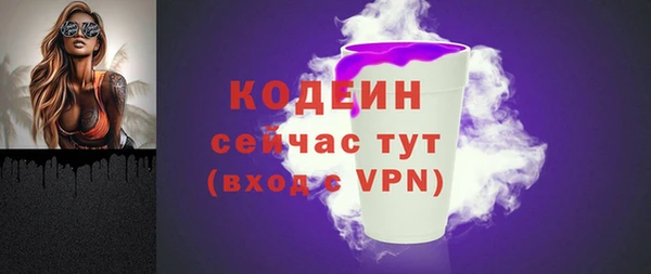 мдпв Дмитриев