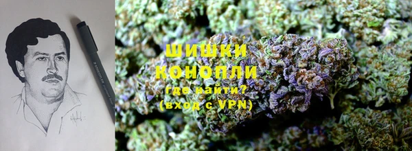 мдпв Дмитриев