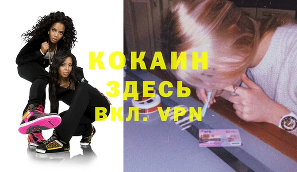 мдпв Дмитриев